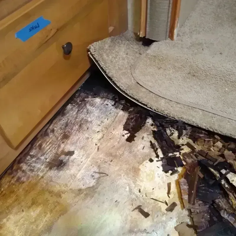 Wood Floor Water Damage in Wilson, PA